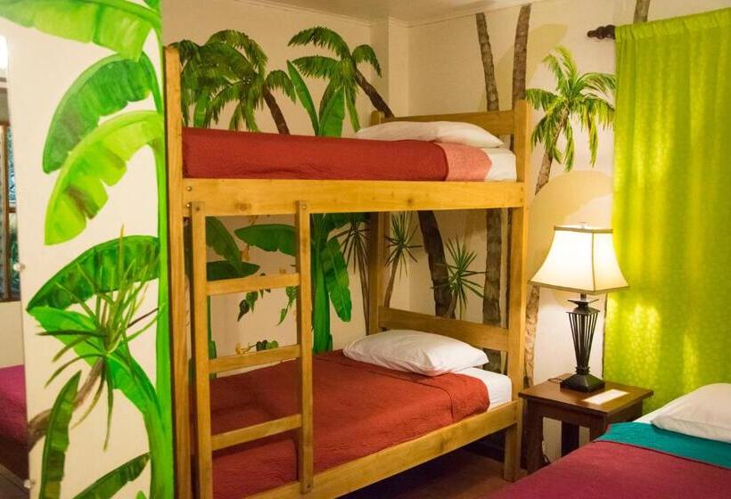 اتاق استاندارد با تخت بزرگ, Jungle Beach Hotel Manuel Antonio