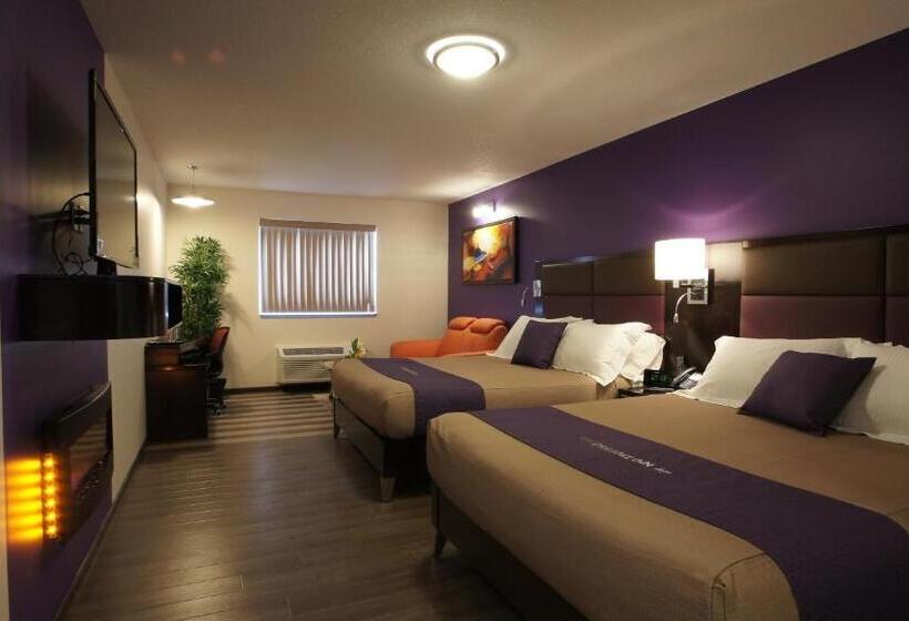 套房, Dreamz Inn