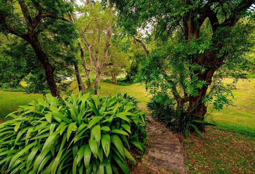 کلبه ییلاقی, Sanbonani Resort Hotel And Spa