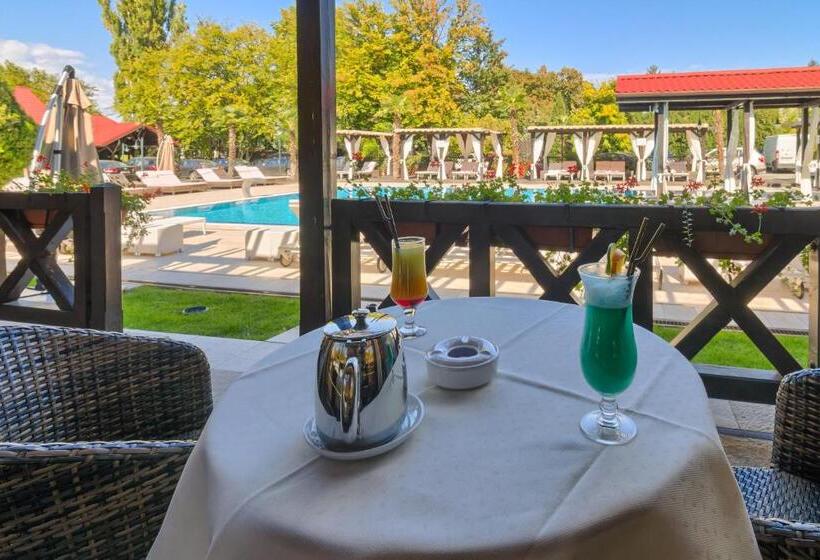Номер Стандарт, Snagov Club