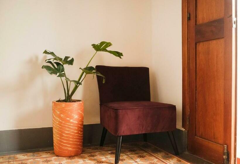 اتاق سوپریور, Casa Rosa   Alma Hotels