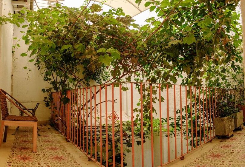 اتاق سوپریور, Casa Rosa   Alma Hotels
