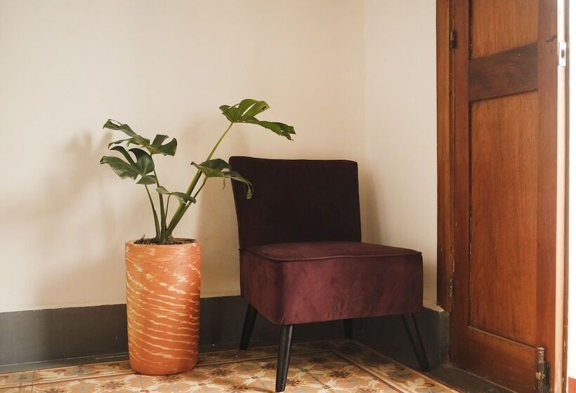 اتاق سوپریور, Casa Rosa   Alma Hotels