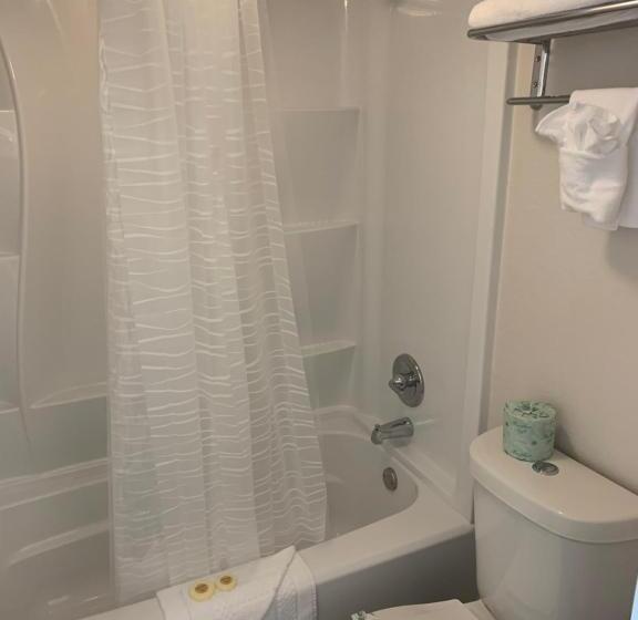 Номер Стандарт, The Branson Welcome Inn   Country Blvd