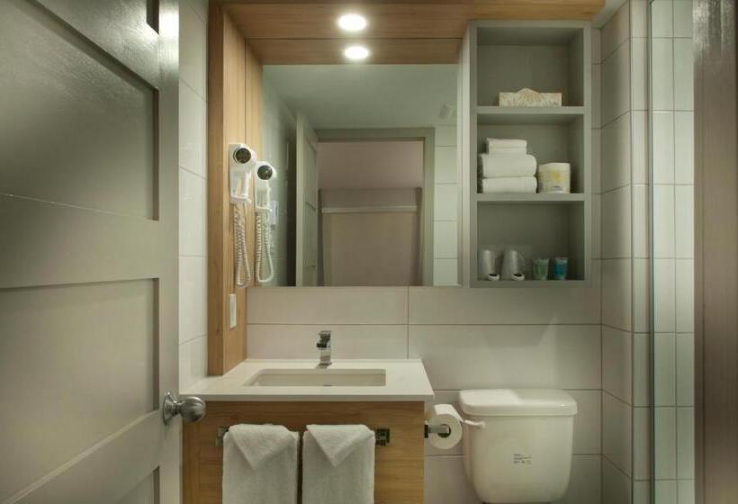 Номер Стандарт, Motel Ideal Sterose