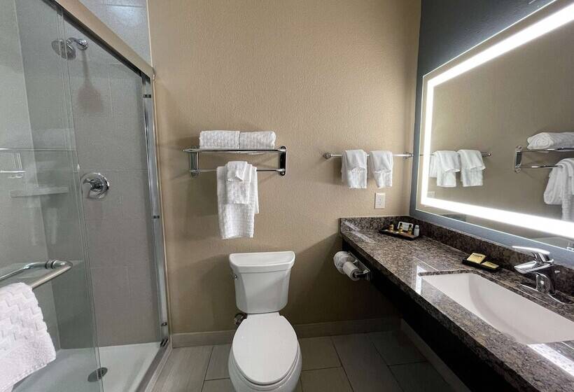 Люкс, Best Western Plus Lake Jackson Inn & Suites