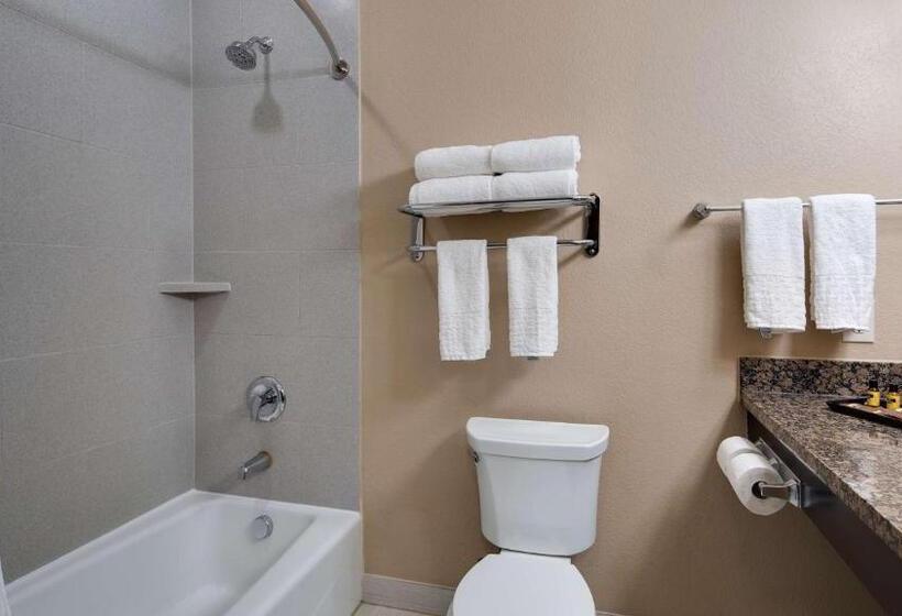 Стандартный Номер Кровать Кинг, Best Western Plus Lake Jackson Inn & Suites