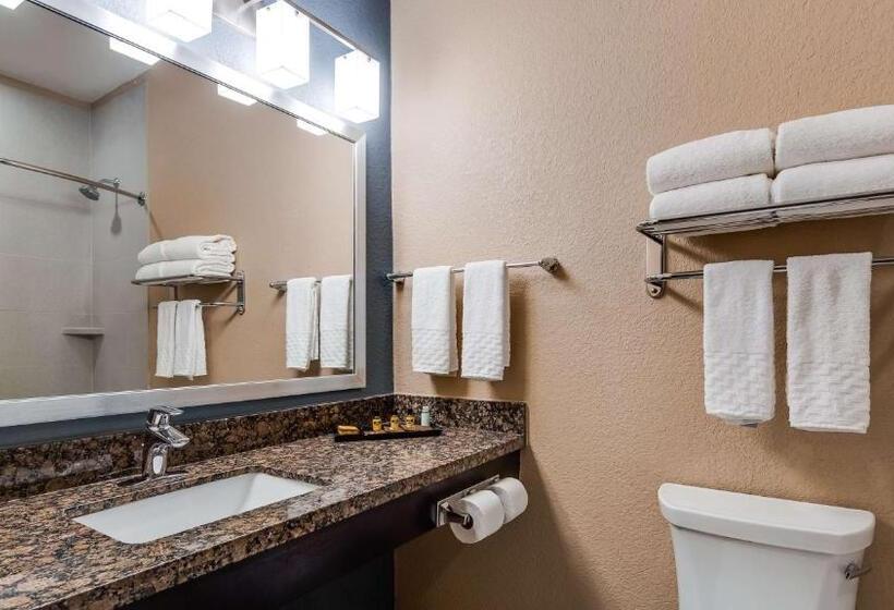Люкс Кровать Кинг, Best Western Plus Lake Jackson Inn & Suites