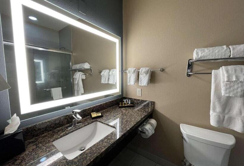 Люкс Кровать Кинг, Best Western Plus Lake Jackson Inn & Suites