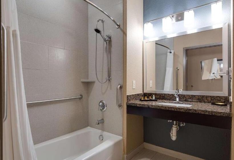 Номер Стандарт Адаптированный для Инвалидов, Best Western Plus Lake Jackson Inn & Suites