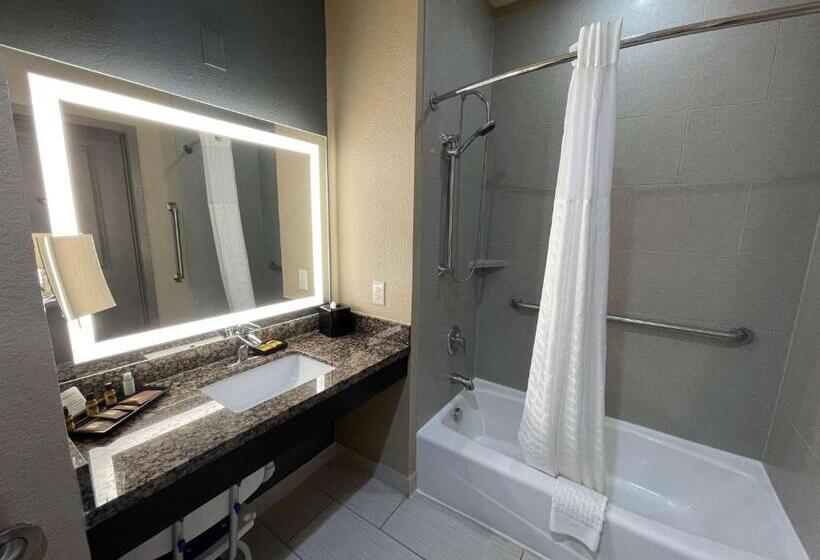 Номер Стандарт Адаптированный для Инвалидов, Best Western Plus Lake Jackson Inn & Suites
