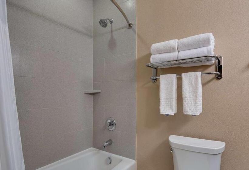 Номер Стандарт, Best Western Plus Lake Jackson Inn & Suites
