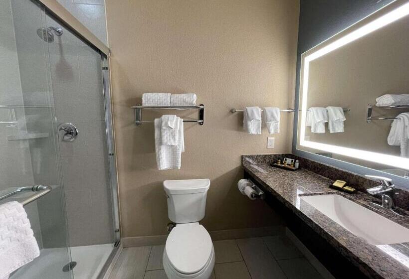 Стандартный Номер Кровать Кинг, Best Western Plus Lake Jackson Inn & Suites