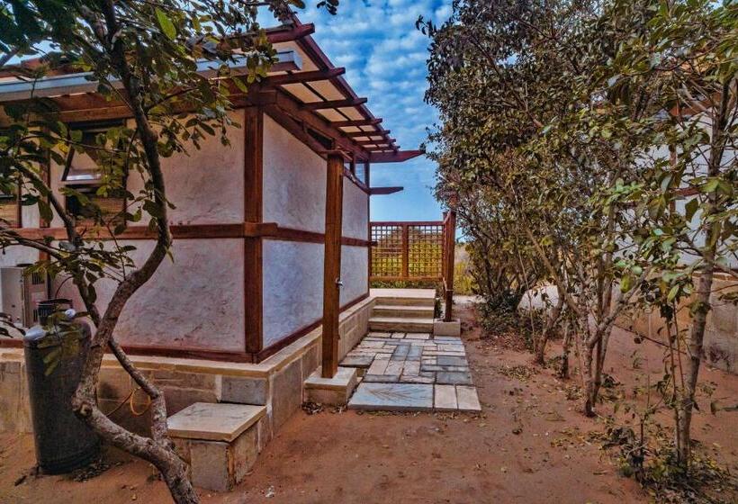 اتاق استاندارد, Sky Island Resort