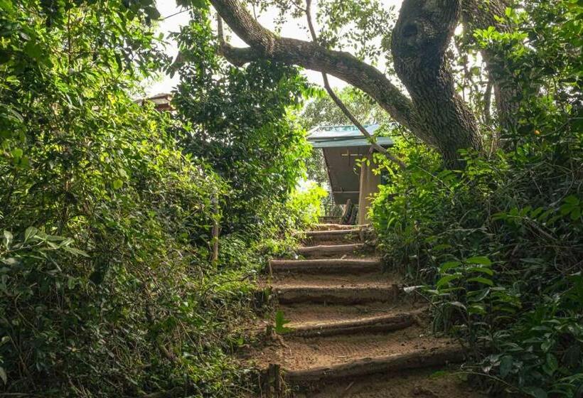 چادر با خدمات رفاهی لوکس, Sky Island Resort