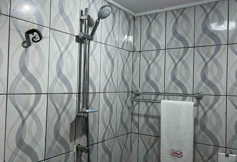 اتاق استاندارد, Platinum Hotel Douala