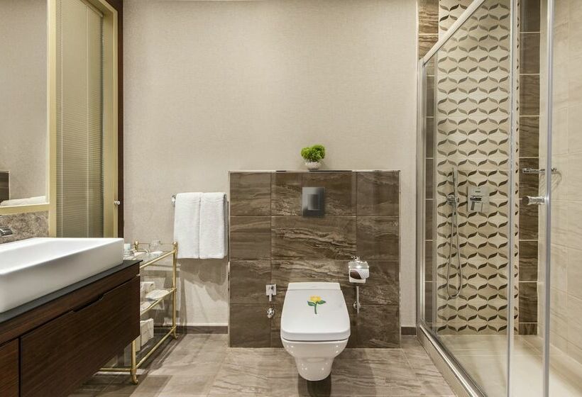 اتاق سوپریور, Elite World Grand Istanbul Basin Ekspres