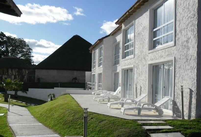 سوییت سوپریور, Punta Del Este Arenas