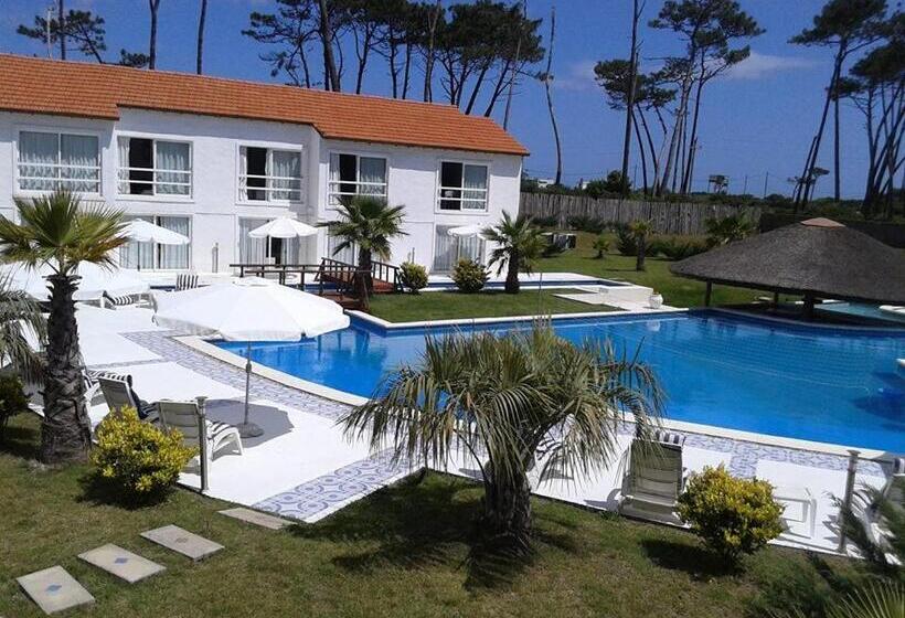 سوییت سوپریور, Punta Del Este Arenas
