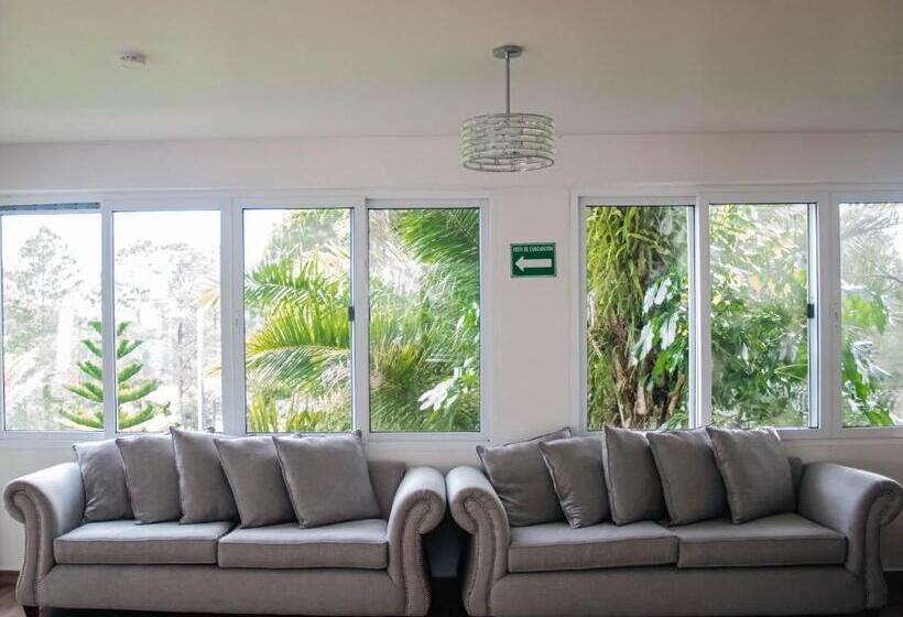 اتاق اکونومی, Cocoview Valle De Angeles