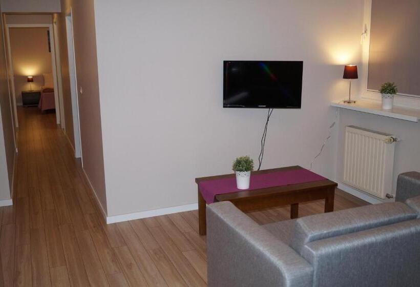 آپارتمان سوپریور 1 خوابه, Emaus Apartments