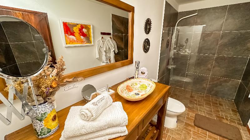 Номер Стандарт, Boutique Casa De Los Santos Reyes Valledupar