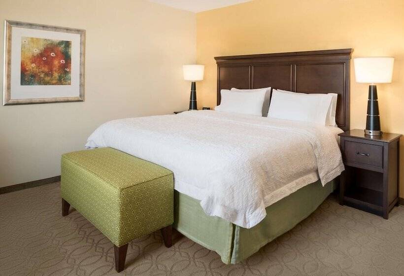 اتاق استاندارد برای معلولان, Hampton Inn & Suites Corpus Christi