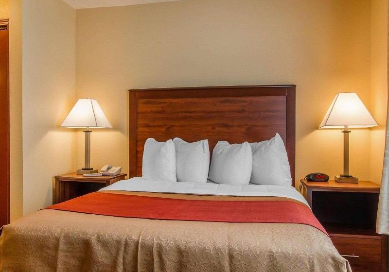 Люкс, Mainstay Suites Grand Island