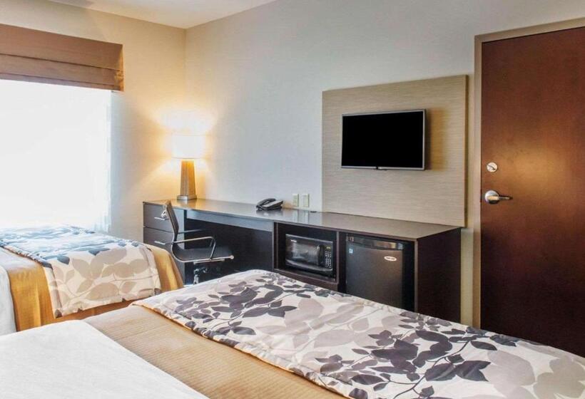 스탠다드 룸, Sleep Inn & Suites Defuniak Springs  Crestview