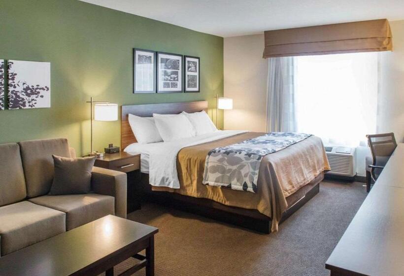 스위트 킹사이즈 침대, Sleep Inn & Suites Defuniak Springs  Crestview