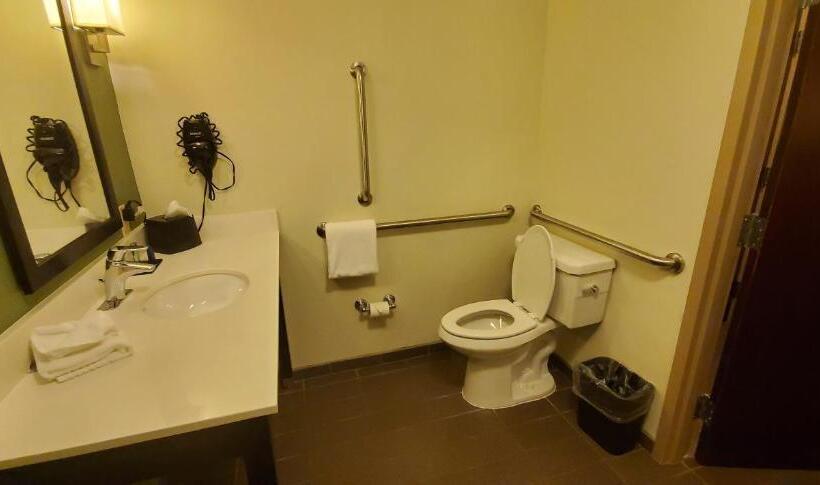 장애인을 위한 킹사이즈 침대 스탠다드 룸, Sleep Inn & Suites Defuniak Springs  Crestview