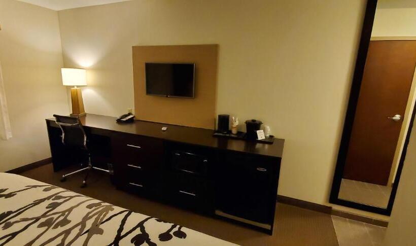 장애인을 위한 킹사이즈 침대 스탠다드 룸, Sleep Inn & Suites Defuniak Springs  Crestview