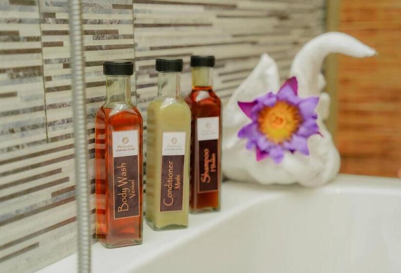 Стандартный Номер Кровать Кинг, Celestia Ayurveda Resort
