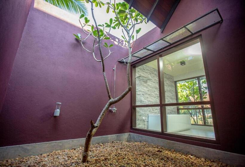 Стандартный Номер Кровать Кинг, Celestia Ayurveda Resort