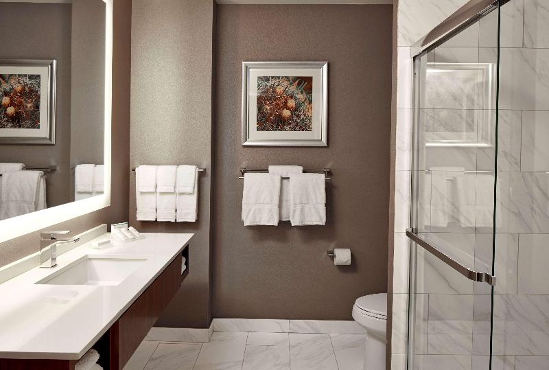 Стандартный Номер Кровать Кинг, Hilton Garden Inn Phoenix Downtown