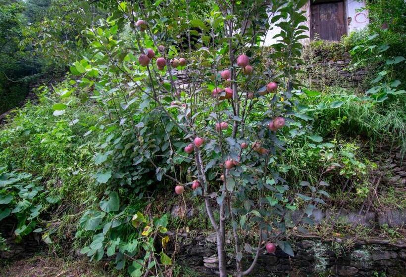 디럭스 룸, Octave Himalayan Hamlet