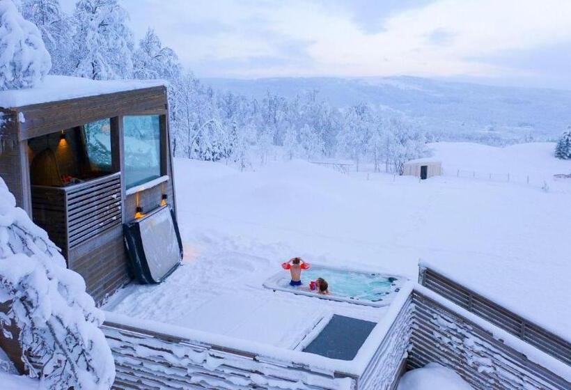 Executive Svit, Aurora Borealis Observatory