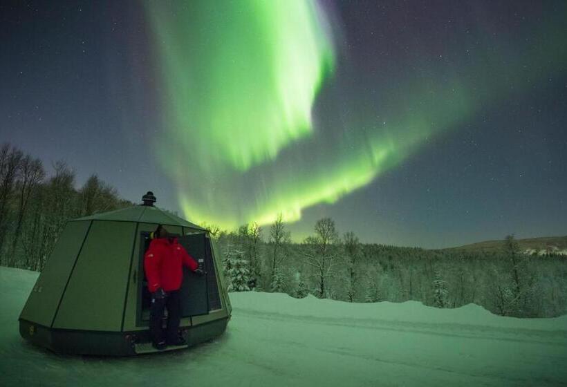标准间, Aurora Borealis Observatory