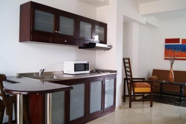 آپارتمان دوبلکس 1 خوابه, Monterosa Apartamentos Amoblados