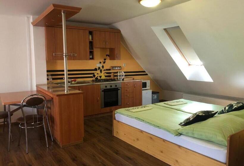 Апартаменты 1 Спальня, Penzión Antiqua Villa