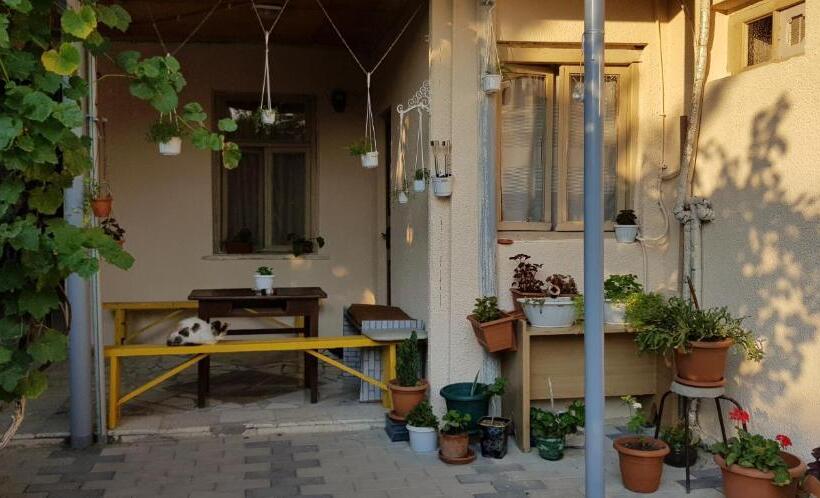 اتاق اکونومی, домик у реки куры