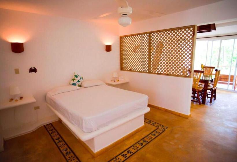 استودیوی استاندارد با چشم‌انداز دریا, Baoba Beach