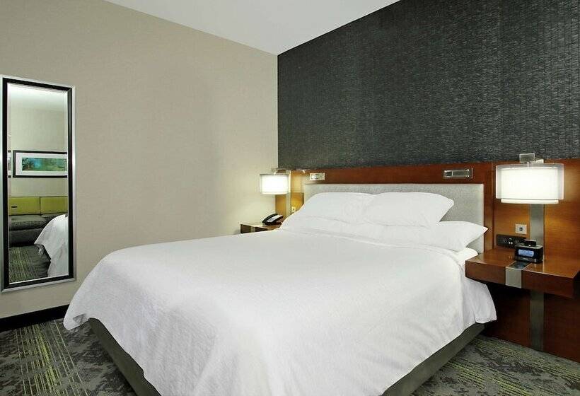 سوییت, Embassy Suites By Hilton Pittsburgh Downtown