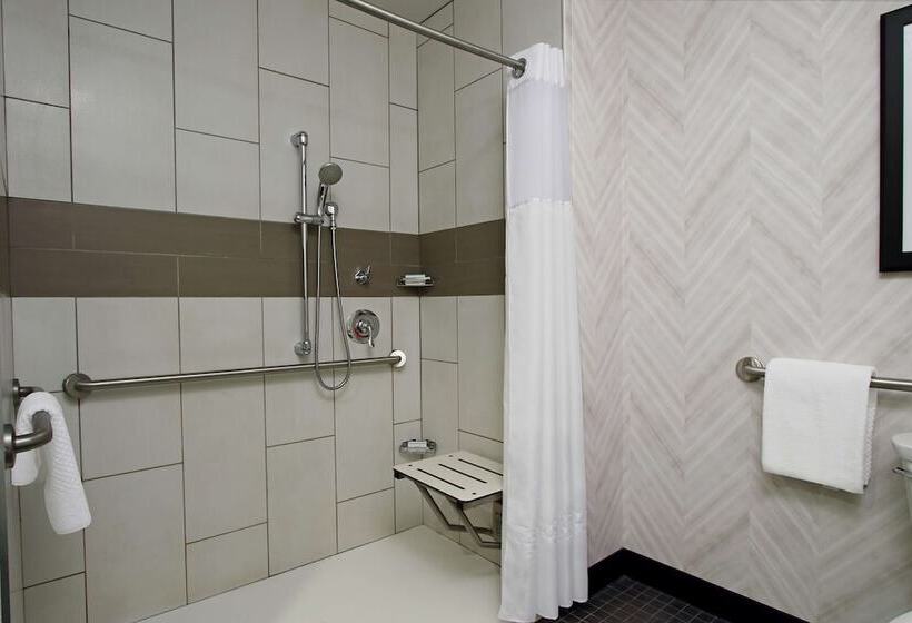 سوئیت برای معلولان, Embassy Suites By Hilton Pittsburgh Downtown