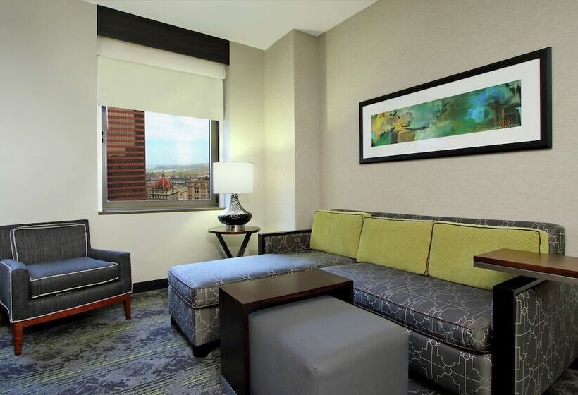 سوئیت برای معلولان, Embassy Suites By Hilton Pittsburgh Downtown