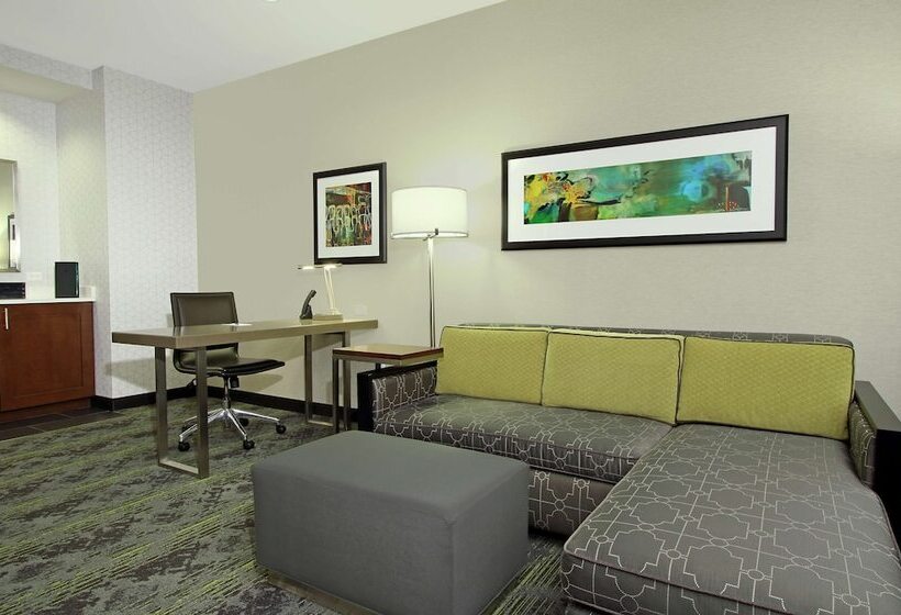 سوییت, Embassy Suites By Hilton Pittsburgh Downtown