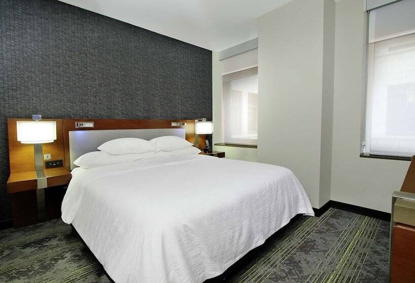 سوئیت با چشم‌انداز رودخانه, Embassy Suites By Hilton Pittsburgh Downtown