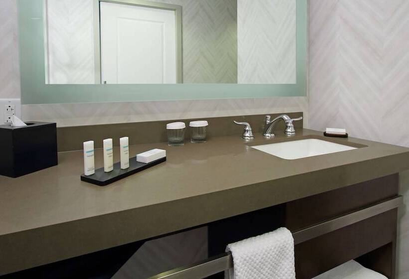 سوئیت برای معلولان, Embassy Suites By Hilton Pittsburgh Downtown
