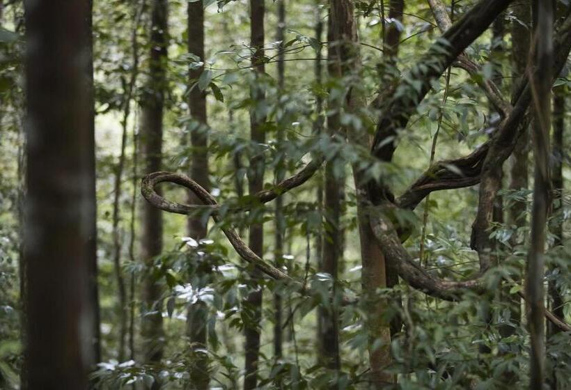 Люкс Superior 2 Спальни, Sinharaja Forest Edge