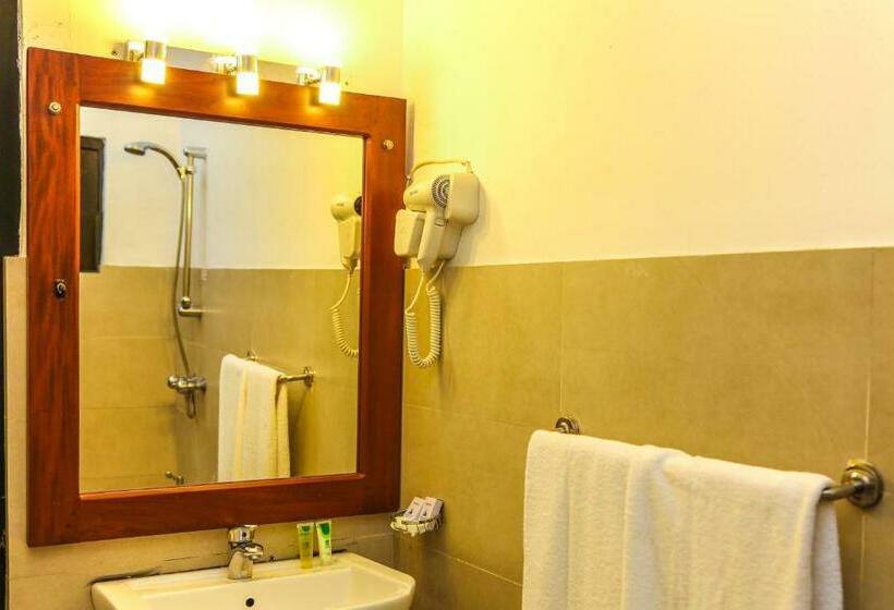 Quarto Estandar, Oak Ray City